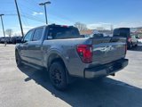 New 2025 Ford F150 XLT w/ Equipment Group 301A Standard image 3