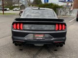 Used 2023 Ford Mustang GT Premium w/ Equipment Group 401A image 6
