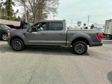 Certified 2023 Ford F150 XLT w/ Equipment Group 302A High image 2