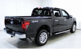 New 2025 Ford F150 XLT w/ Equipment Group 303A High image 6