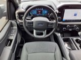 New 2025 Ford F150 XLT w/ Equipment Group 303A High image 4