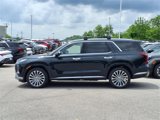 New 2025 Hyundai Palisade Calligraphy image 4