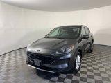 Used 2020 Ford Escape SE image 5