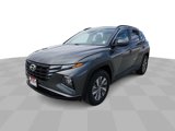 Used 2023 Hyundai Tucson Blue image 2