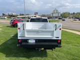 New 2025 Chevrolet Silverado 3500 W/T w/ WT Convenience Package image 4