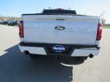 New 2025 Ford F150 XLT image 6