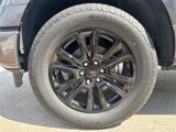 New 2025 Ford F150 Platinum image 3