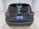 New 2025 Ford Escape ST-Line w/ Tech Pack #1 image 4