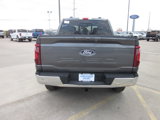 New 2025 Ford F150 XLT w/ Equipment Group 303A High image 5