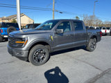 New 2025 Ford F150 STX w/ Equipment Group 200A image 4