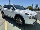 Used 2023 Hyundai Santa Fe Limited w/ Cargo Package image 6