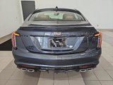 New 2026 Cadillac CT5 V w/ Platinum Package image 4