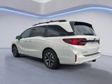 New 2026 Honda Odyssey EX-L image 4