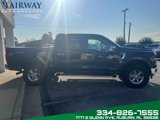 Used 2024 Ford F150 XLT w/ Equipment Group 302A MID image 5