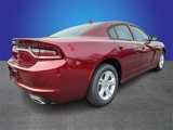 New 2023 Dodge Charger SXT w/ Cold Weather Package image 3