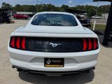 Used 2018 Ford Mustang Premium image 6