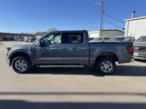 New 2025 Ford F150 XLT w/ Equipment Group 302A MID image 6