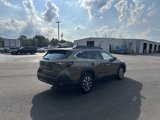 Used 2025 Subaru Outback Premium image 3
