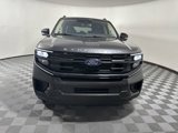 New 2025 Ford Expedition Max Active image 3