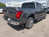New 2025 Ford F150 XLT w/ Equipment Group 302A MID image 5