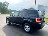 Used 2011 Ford Escape XLT w/ 203A Rapid Spec Order Code image 4