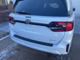 New 2025 Honda Odyssey Elite image 4