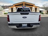 New 2025 Ford F150 XLT w/ Equipment Group 301A Standard image 5