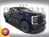 New 2025 Ford F250 Platinum image 1