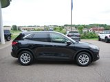 Certified 2020 Ford Escape SE image 4