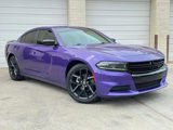 Used 2023 Dodge Charger SXT w/ Blacktop Package image 6
