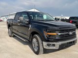 New 2025 Ford F150 XLT w/ Equipment Group 302A MID image 3