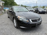 Used 2010 Honda Accord EX-L image 6