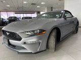 Used 2023 Ford Mustang Premium image 3