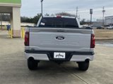 New 2025 Ford F150 XLT w/ Equipment Group 303A High image 5