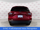 New 2025 Ford Escape ST-Line w/ Tech Pack #1 image 5