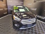 Used 2019 Ford Escape Titanium image 6