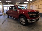 New 2025 Ford F150 XLT w/ Equipment Group 303A High image 1