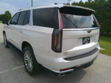 Used 2021 Cadillac Escalade Premium Luxury image 3