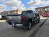 New 2025 Ford F150 XLT w/ Equipment Group 302A MID image 4