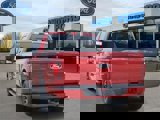New 2025 Ford F150 XLT image 3