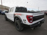 Used 2023 Ford F150 Raptor w/ Blue Interior Package image 3