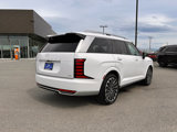 New 2026 Hyundai Palisade Calligraphy image 5