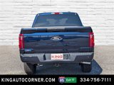New 2025 Ford F150 XLT w/ Equipment Group 301A Standard image 6