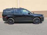 New 2025 Hyundai Santa Fe Calligraphy image 3