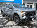 New 2025 Chevrolet Silverado 1500 Custom Trail Boss w/ Dark Appearance Package image 3
