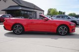 Used 2024 Ford Mustang Premium image 2