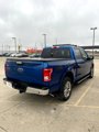 Used 2017 Ford F150 XLT w/ Equipment Group 302A Luxury image 6
