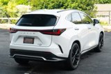 Used 2024 Lexus NX 350 F Sport image 5