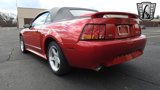 Used 2001 Ford Mustang Cobra image 3