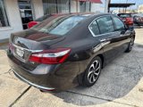 Used 2016 Honda Accord EX-L image 4